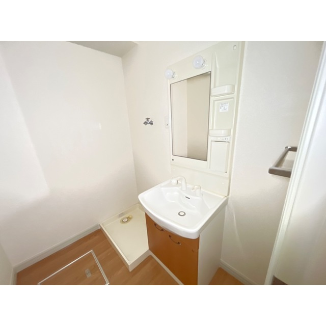 関市肥田瀬のアパートの洗面所