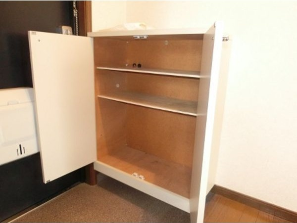 ビレッジ日蔭5号の玄関