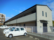 アンプルールフェールハンナハンナの画像