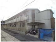 ニューアムールクラニアの画像