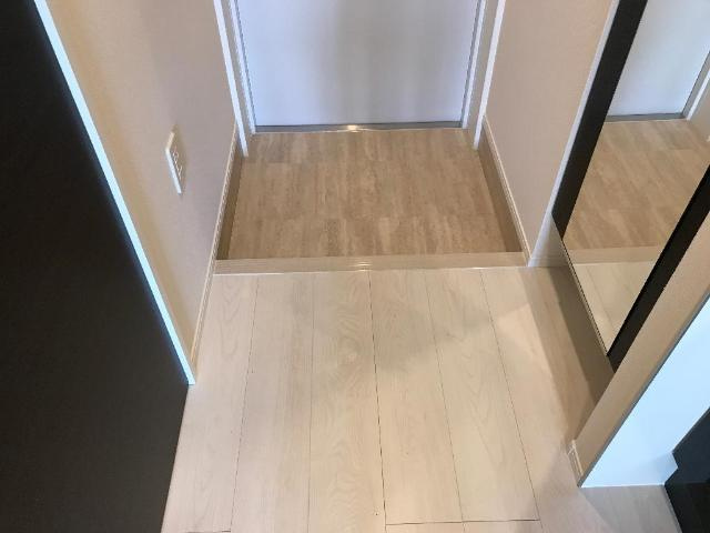 パドマヒルズ（PADMA　HILLS　４）の玄関|玄関