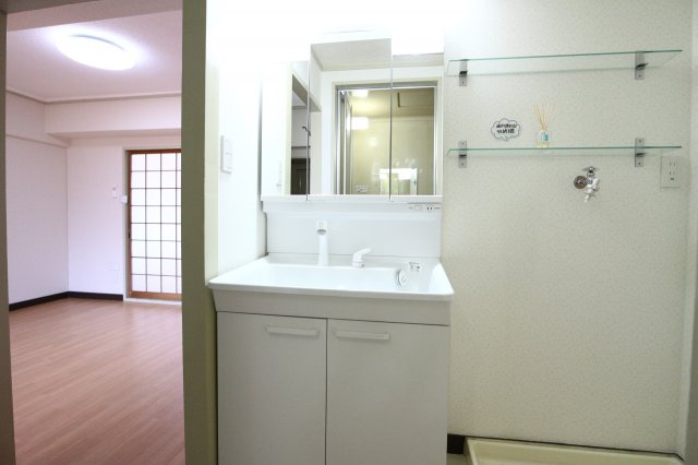 第３岩井ハイツの洗面所