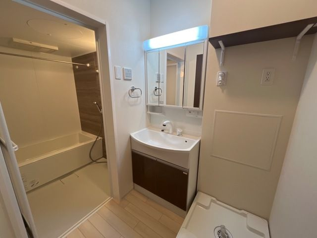 エクセレントの独立洗面台|独立洗面台あり、毎朝おしゃれに忙しい女性の方におすすめです