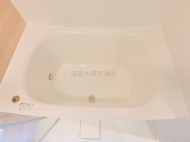 コスモリード大森西の浴室