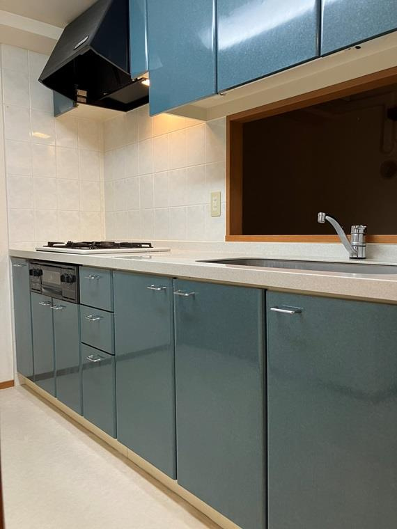 ヴィルヌーブ浦和常盤のキッチン|使いやすいキッチンです