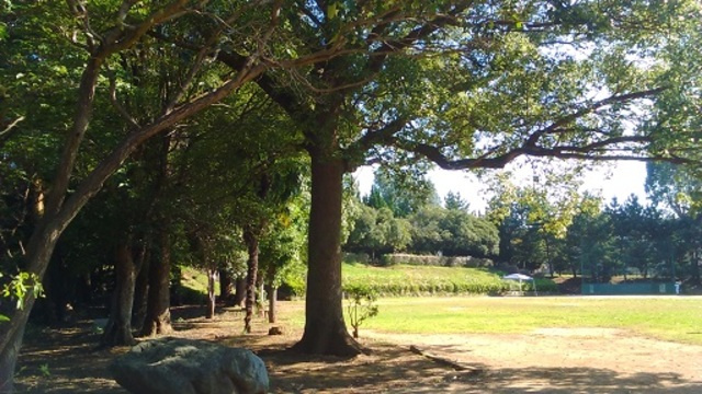 ハーモニー八柱のその他|常盤平公園