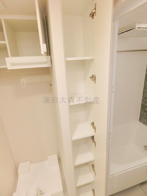 ブランシエスタ西馬込ブランシエスタニシマゴメの収納|洗面脱衣所　収納スペース
