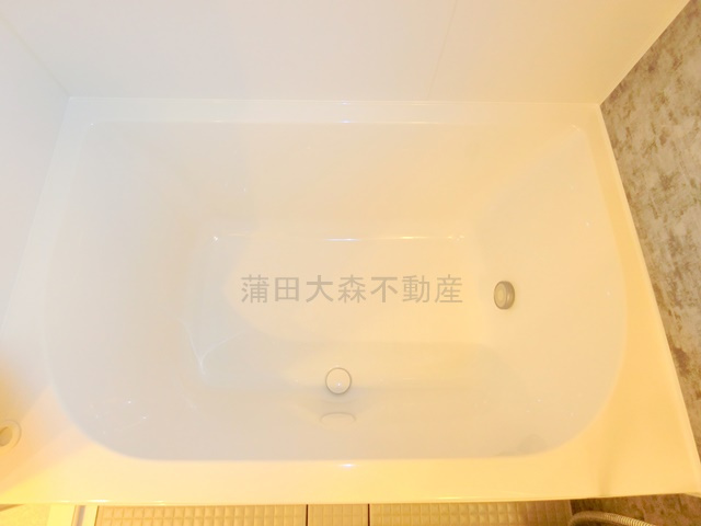 ブランシエスタ西馬込ブランシエスタニシマゴメの浴室