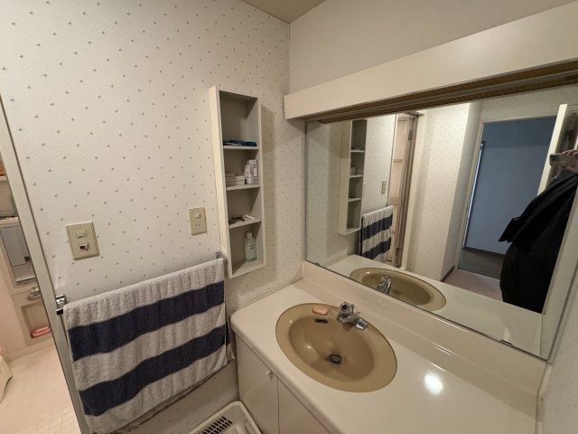 -三丁目不動産-ダイアパレス小川の洗面所