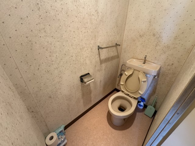 -三丁目不動産-ダイアパレス小川のトイレ