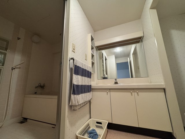 -三丁目不動産-ダイアパレス小川の洗面所