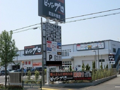 【その他】 | シュタインフルス