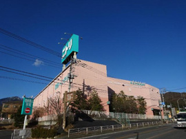 ニトリ秦野店まで234ｍ