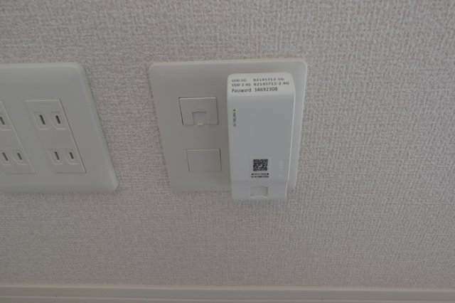 フェリシアのその他