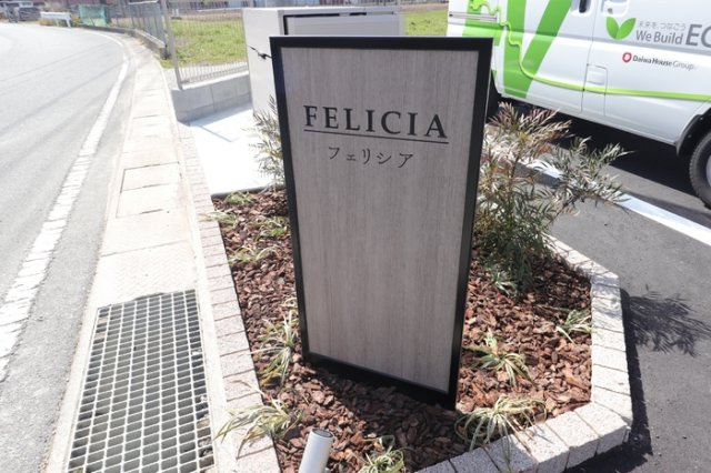 フェリシアのその他