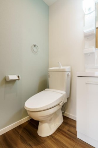 アヴェニール岩槻のトイレ