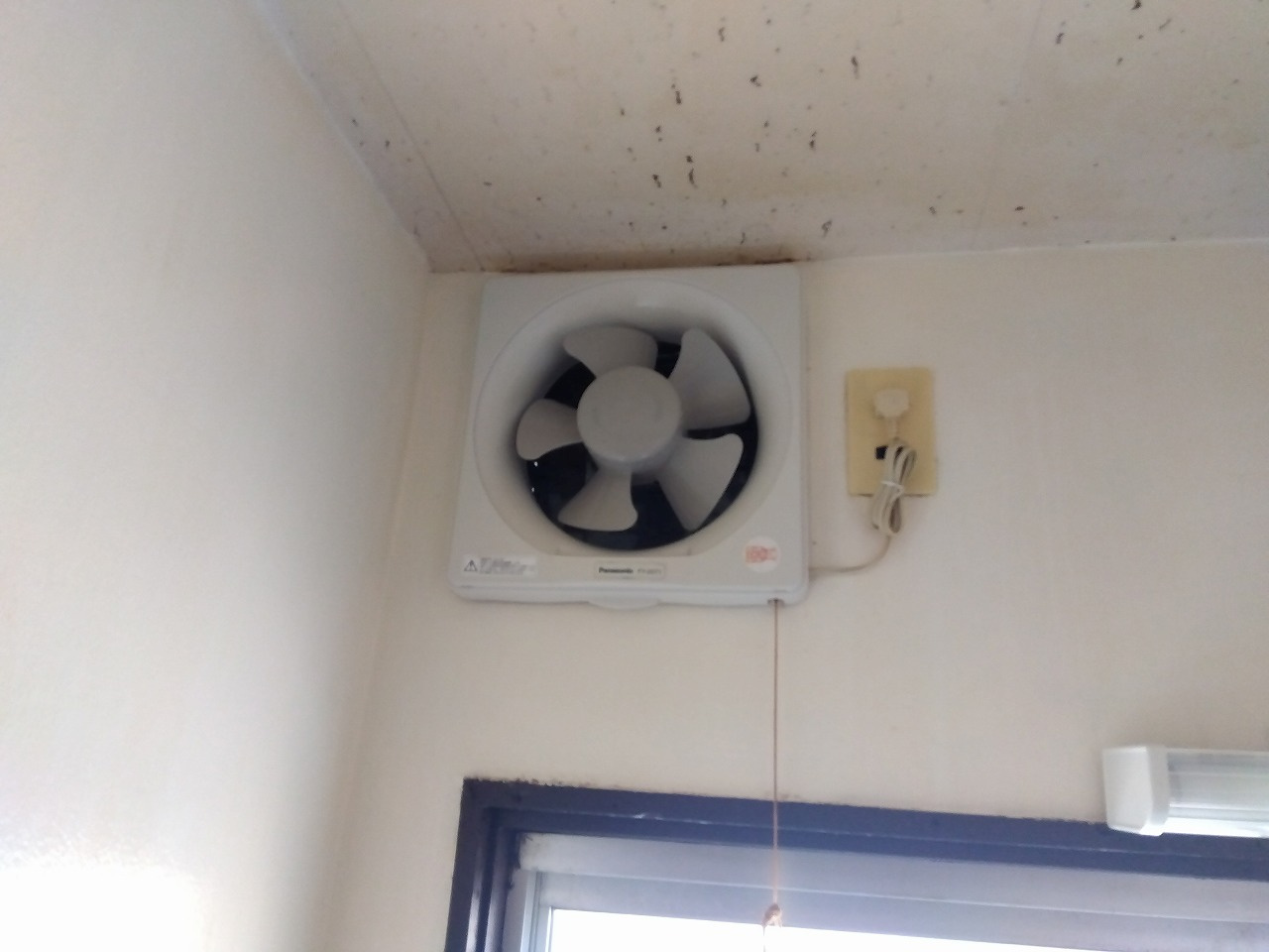 波多野荘のその他