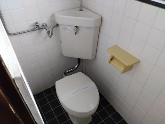 波多野荘のトイレ