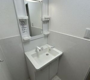 【独立洗面台】 | テラスレジデンス北池袋 | 独立洗面化粧台が付いています