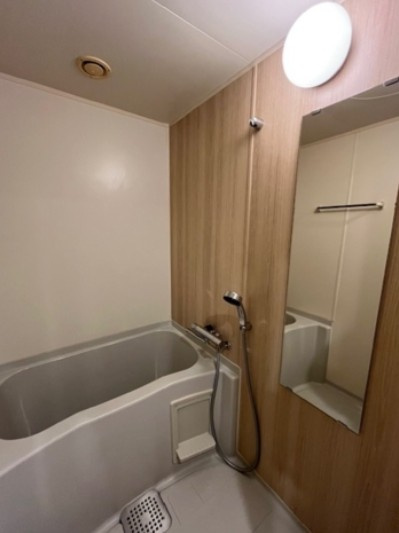 レジディア本郷菊坂プレイスの浴室