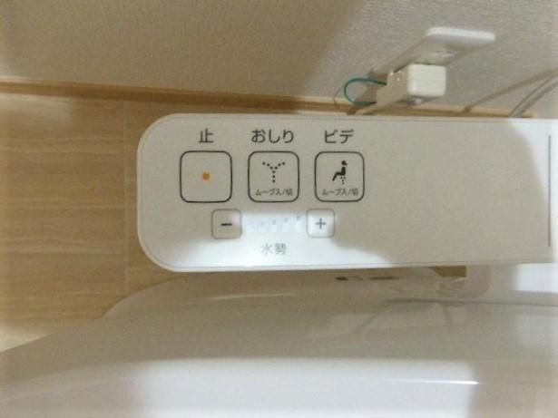 Ｌｕｍｉｎｏｕｓ（ルミナス）のその他