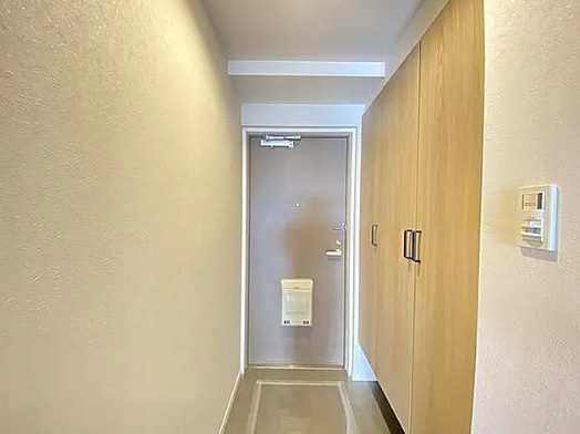 コスモ浦和埼大通り弐番館の玄関|玄関です