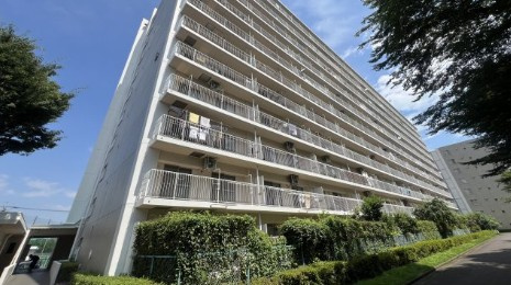 東武みよしみずほ台サンライトマンションＢ棟の外観|外観もきれいです