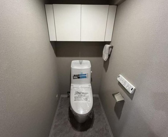 東武みよしみずほ台サンライトマンションＢ棟のトイレ|落ち着いた色調のトイレです
