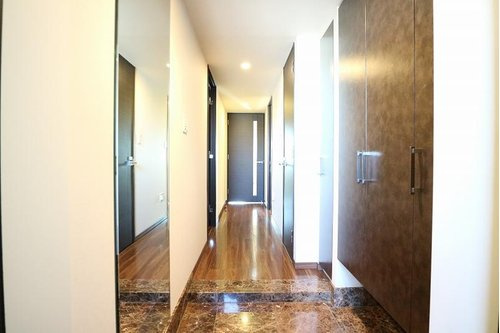 ライオンズ守谷駅前プレミアムの玄関|玄関です