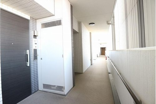 ライオンズ守谷駅前プレミアムの玄関|落ち着いた玄関です