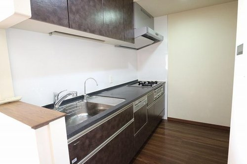 ライオンズ守谷駅前プレミアムのキッチン|キッチンです