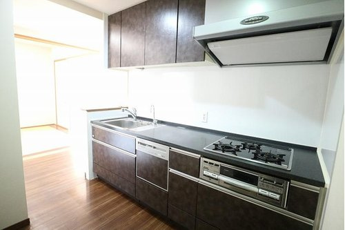 ライオンズ守谷駅前プレミアムのキッチン|キッチンでお料理をお楽しみください