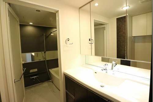 ライオンズ守谷駅前プレミアムの独立洗面台|独立洗面台、小物を置くことができて便利です