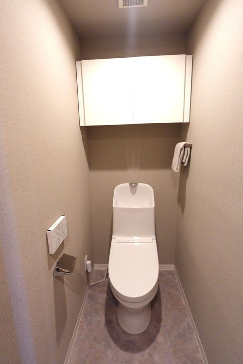 ダイアパレス高崎ガーデンステージのトイレ|落ち着いたトイレです