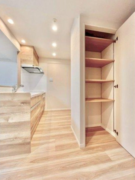 レヴィールエコステージ古河の収納|収納があります