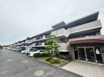 モアステージ新柏２番館の外観|外観もきれいです