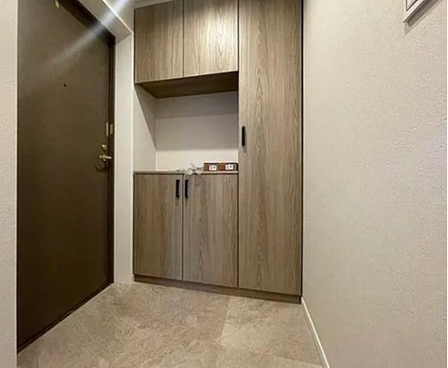 キャッスルメジェール川越デュオステージの玄関|収納もある玄関です