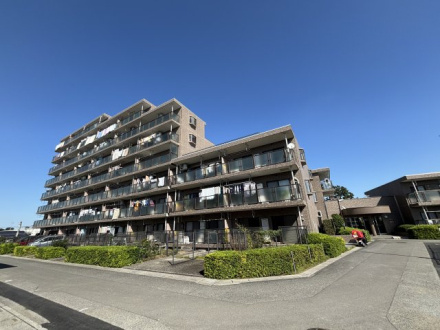 コスモ東大宮の外観|外観もきれいです