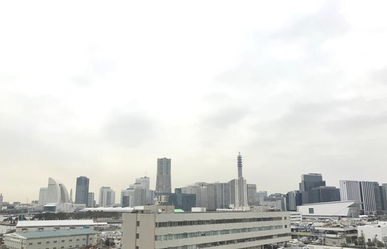 コットンハーバータワーズベイウエストの展望