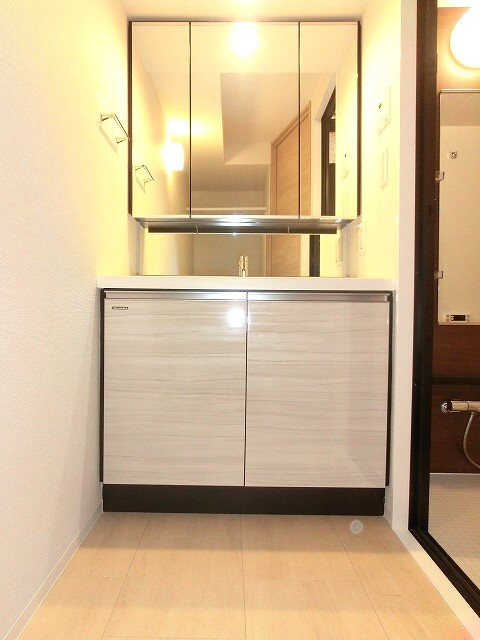 クレヴィアリグゼ日暮里の洗面所