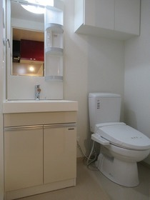 スカイコートパレス押上Ⅲの洗面所