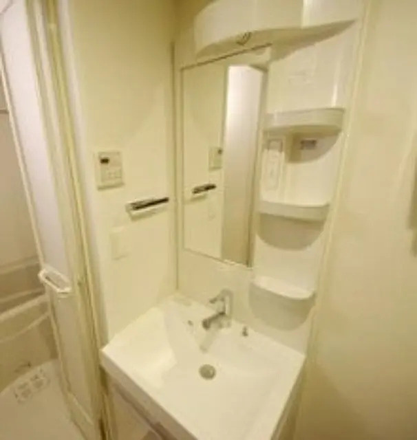 スカイコートパレス押上Ⅲの洗面所