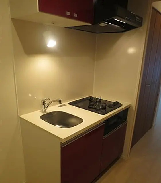 スカイコートパレス押上Ⅲのキッチン