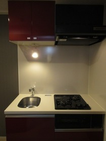 スカイコートパレス押上Ⅲのキッチン