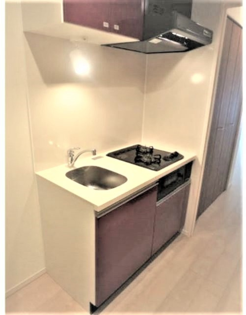 スカイコートパレス押上Ⅲのキッチン