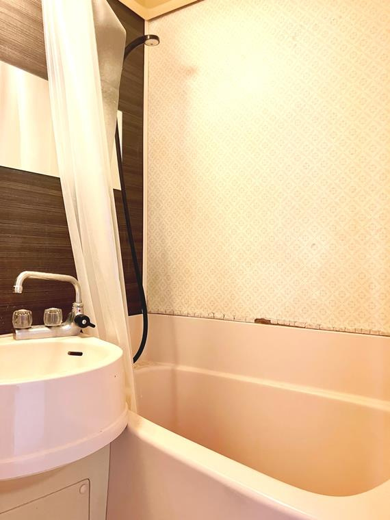 タウンハイツ銀座の浴室