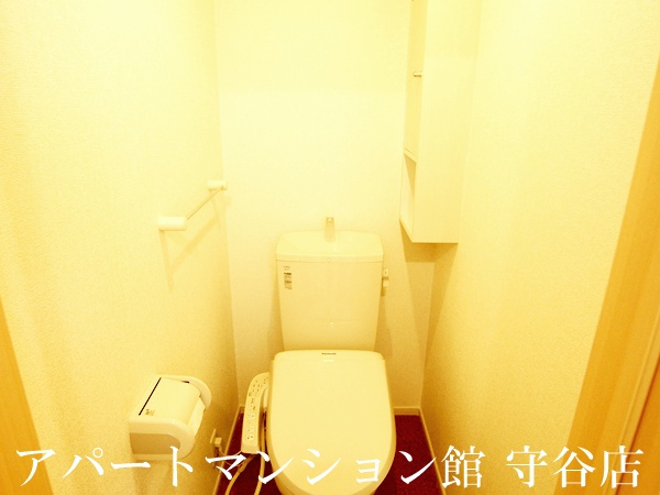 ヴェルジネのトイレ|類似です