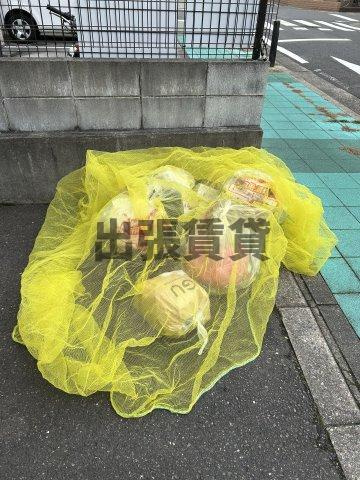 仲介手数料0円！！プチパレのその他共用部分