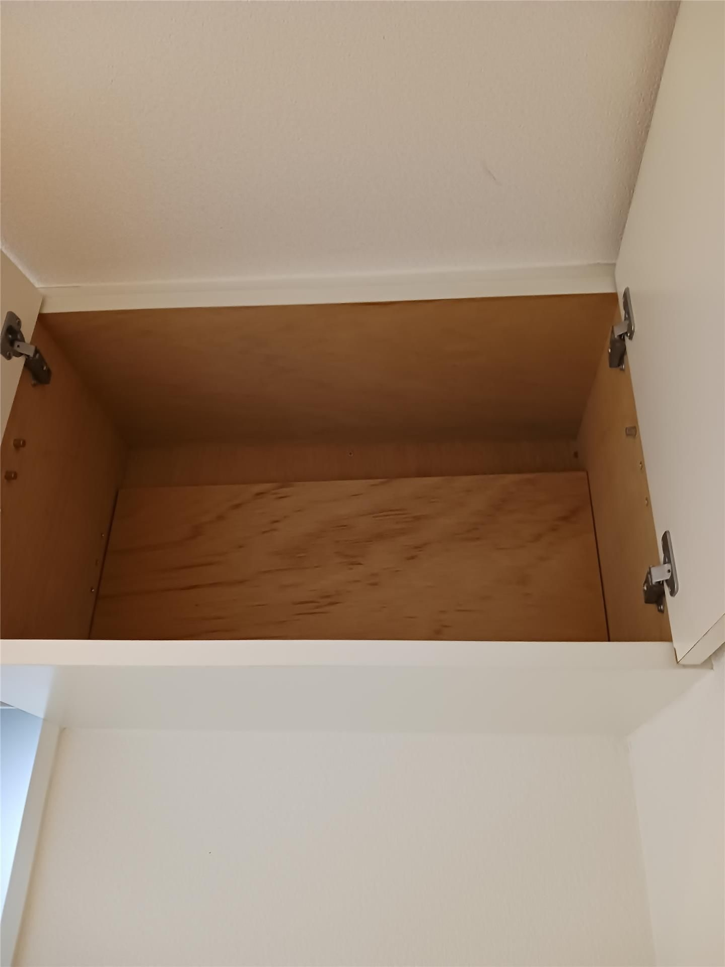 第二ドゥエルなかせいのその他