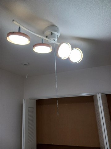 第二ドゥエルなかせいのその他